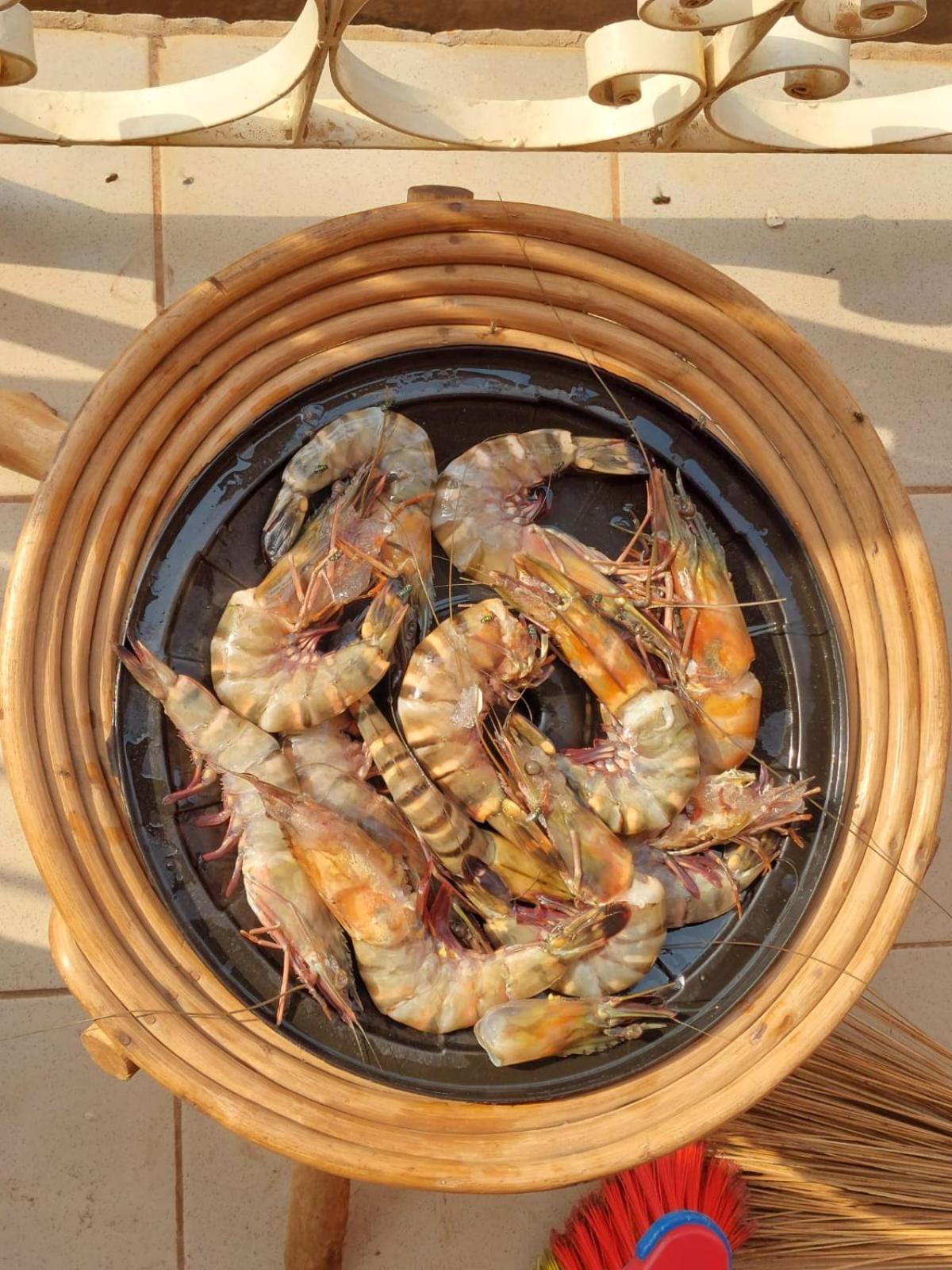 Residence Callens Kribi Dış mekan fotoğraf