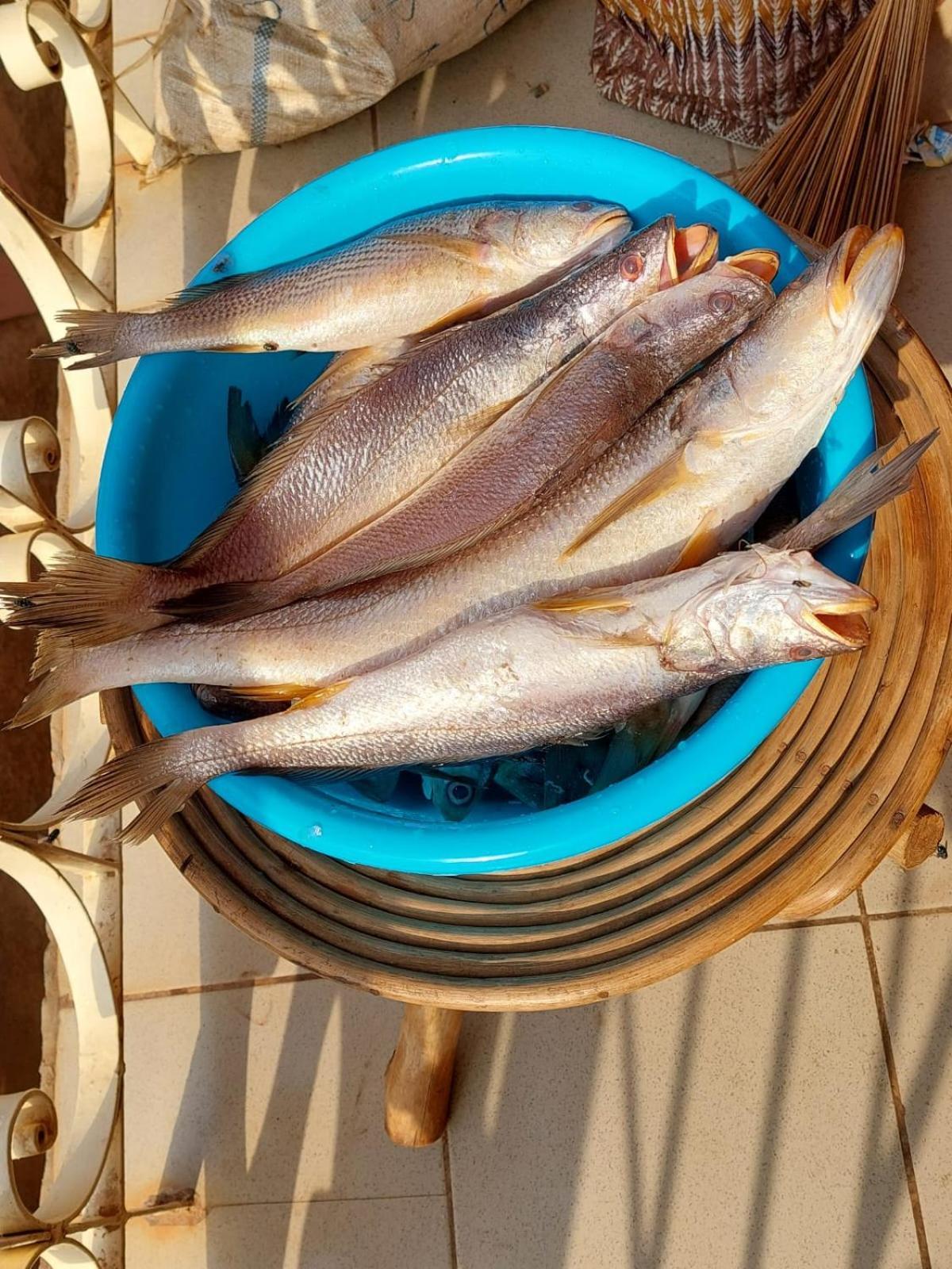 Residence Callens Kribi Dış mekan fotoğraf